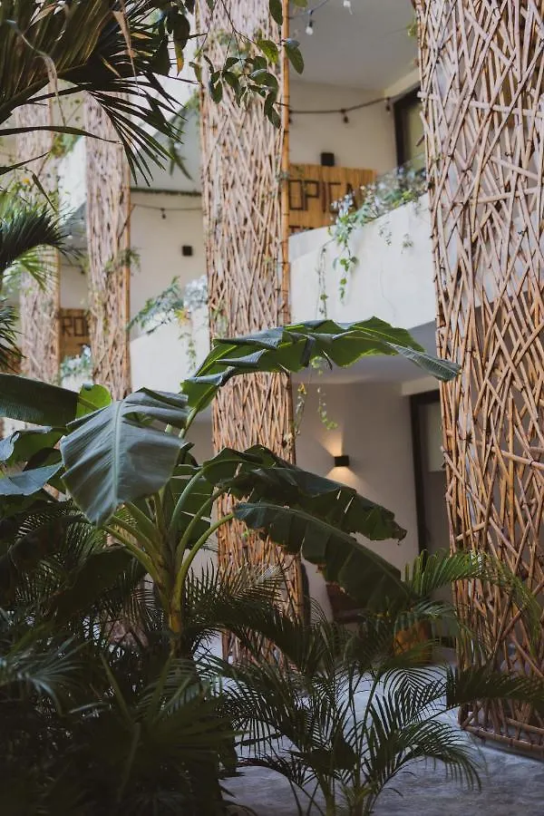 Jade Tulum Hotel